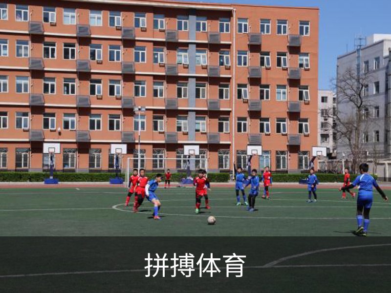 了解拼搏体育